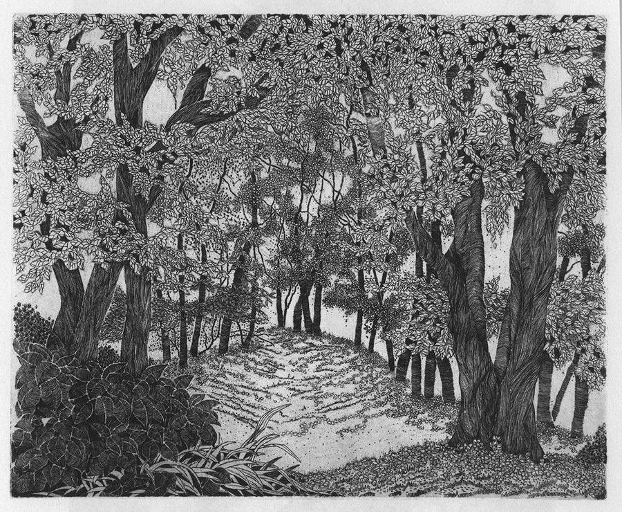 la-fine-del-bosco