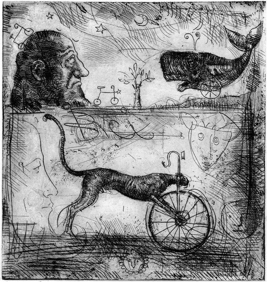 bici