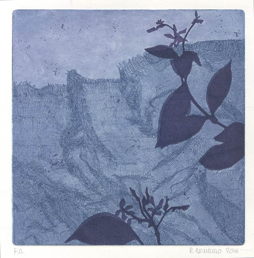 velate-conseguenze