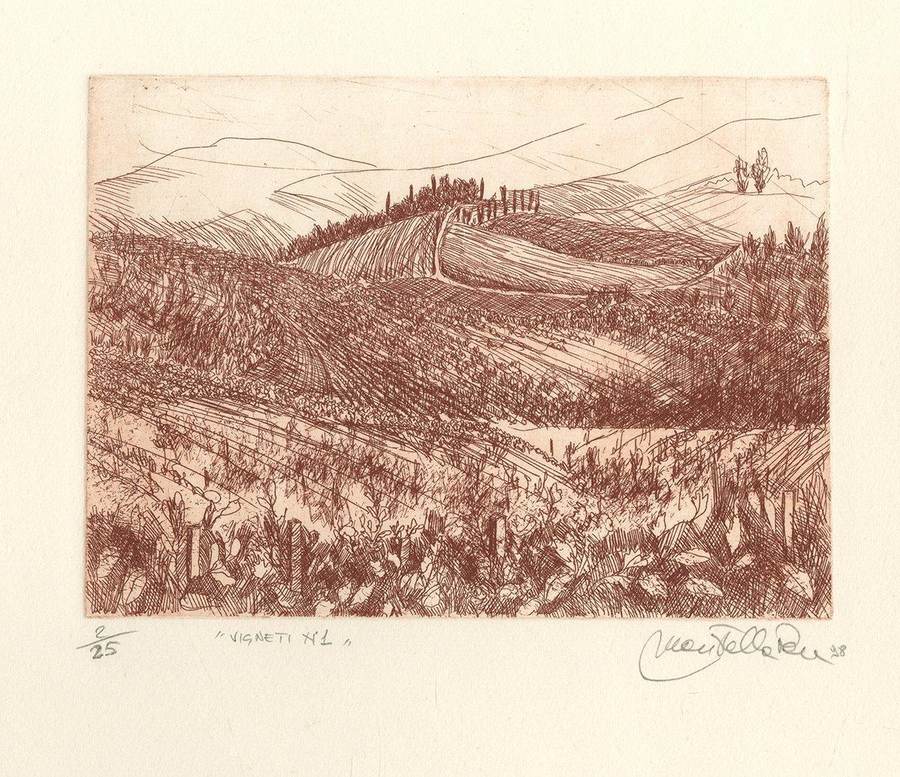 vigneti-1