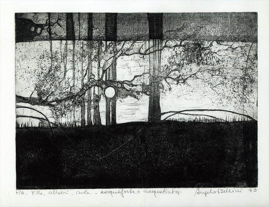filo-alberi-sole