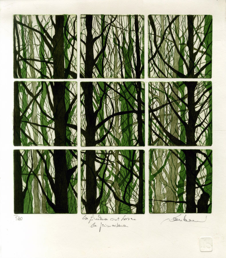 la-finestra-sul-bosco-la-primavera