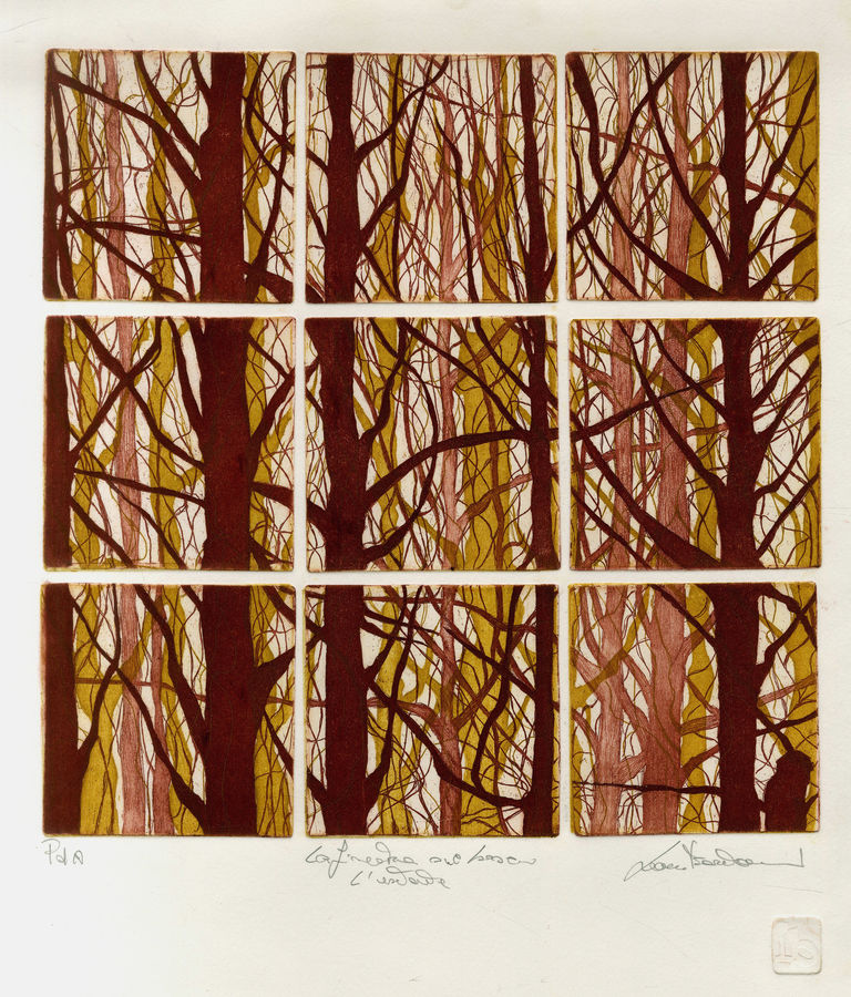 la-finestra-sul-bosco-lestate