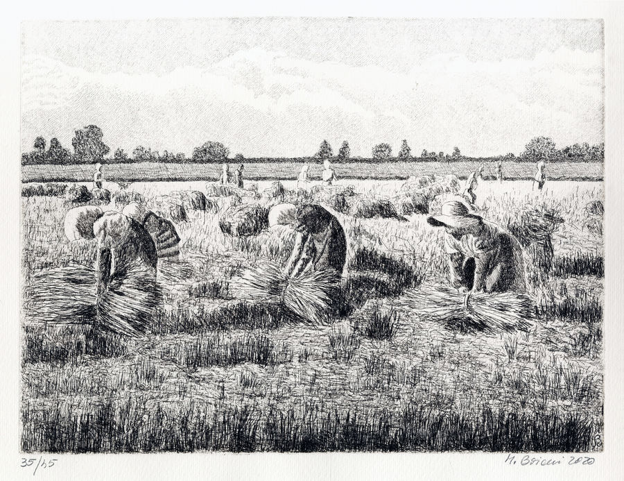 mondine-i-lavori-di-demetra-dea-dellagricoltura-3