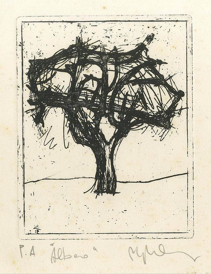 albero