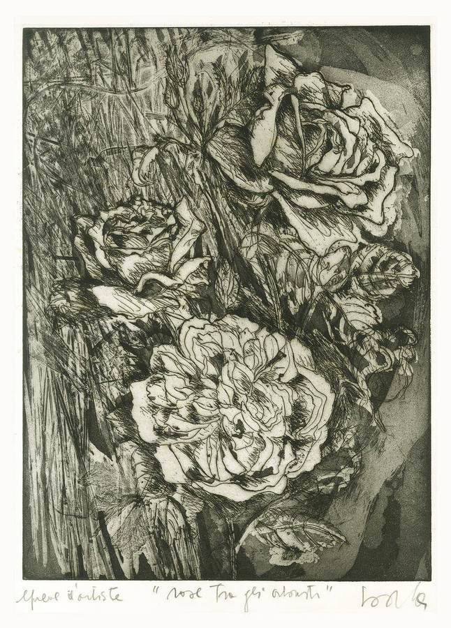 rose-tra-gli-arbusti