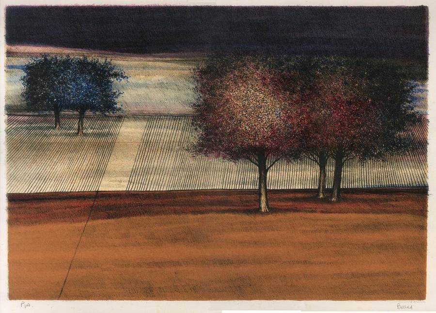 alberi