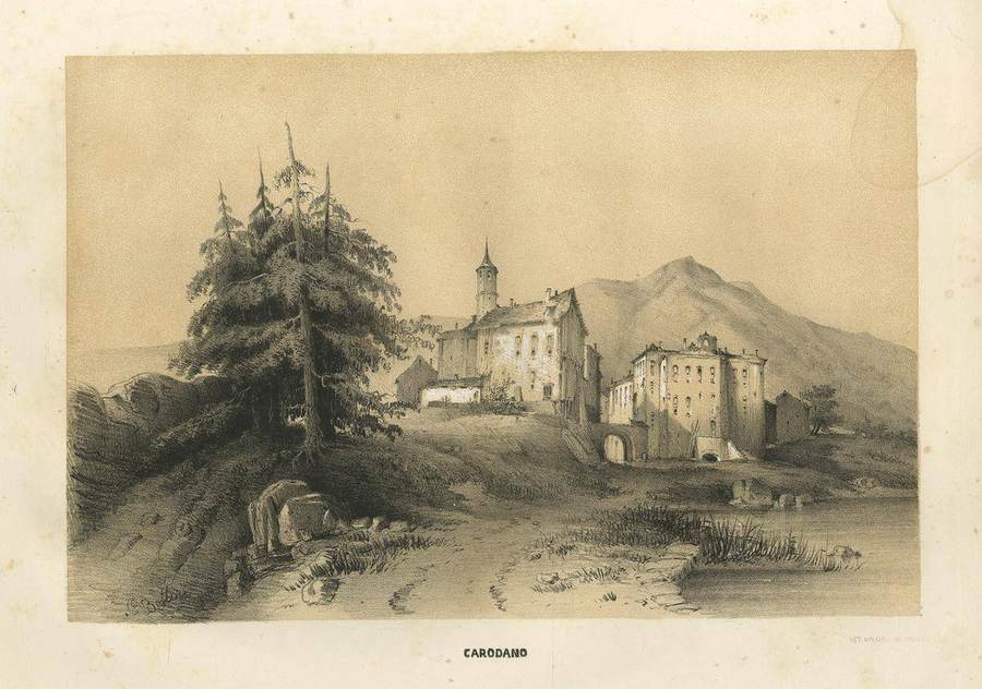 carodano-lit-bacchini-parma