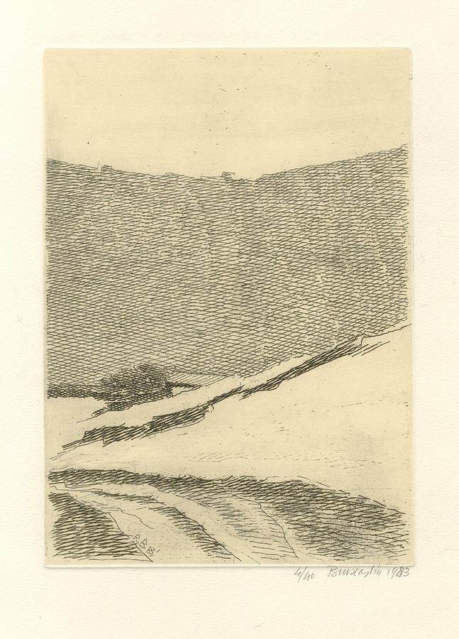 paesaggio-collinare