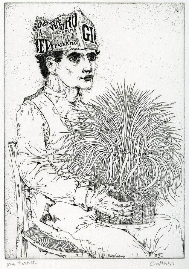 muratore-con-la-pianta