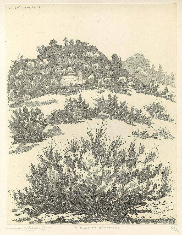 grande-ginestra