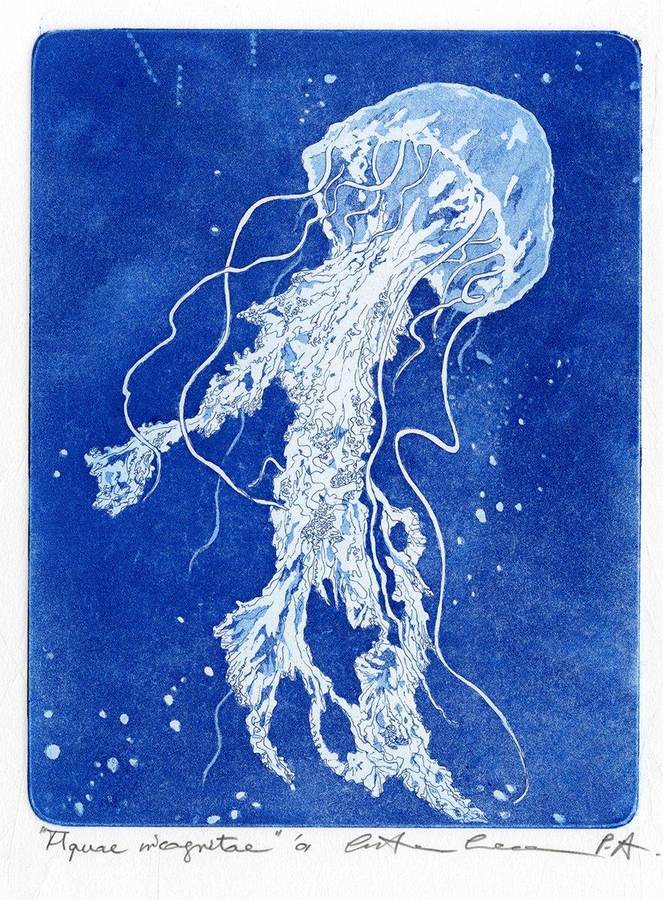 aquae-incognitae-oceani