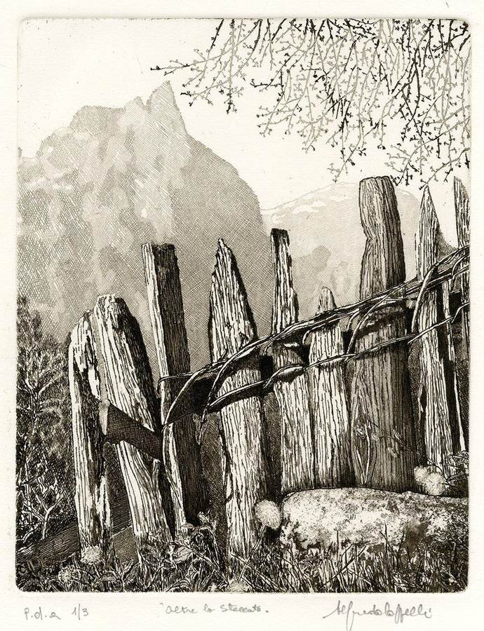 oltre-la-steccata