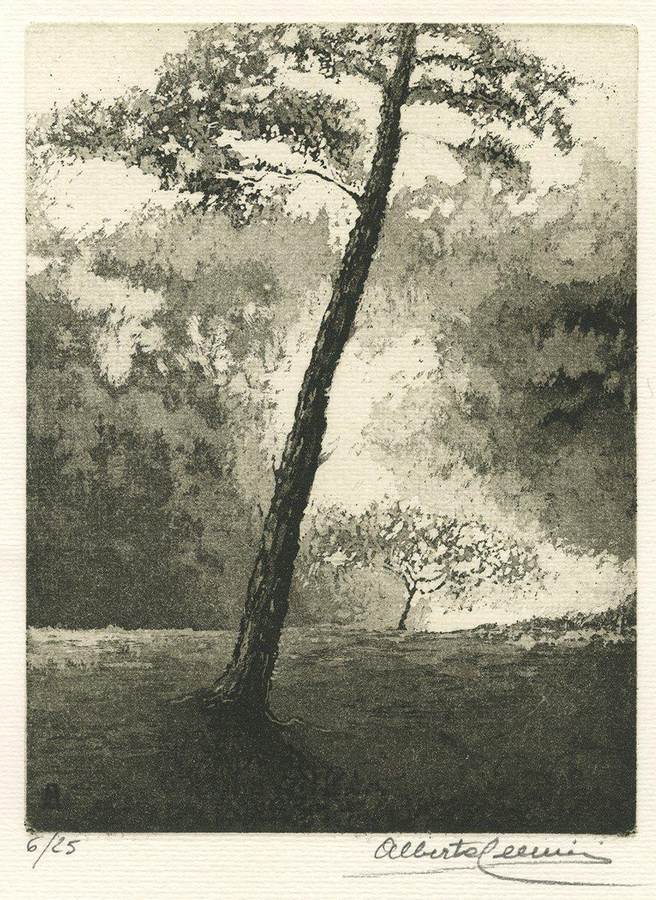 pino-controluce