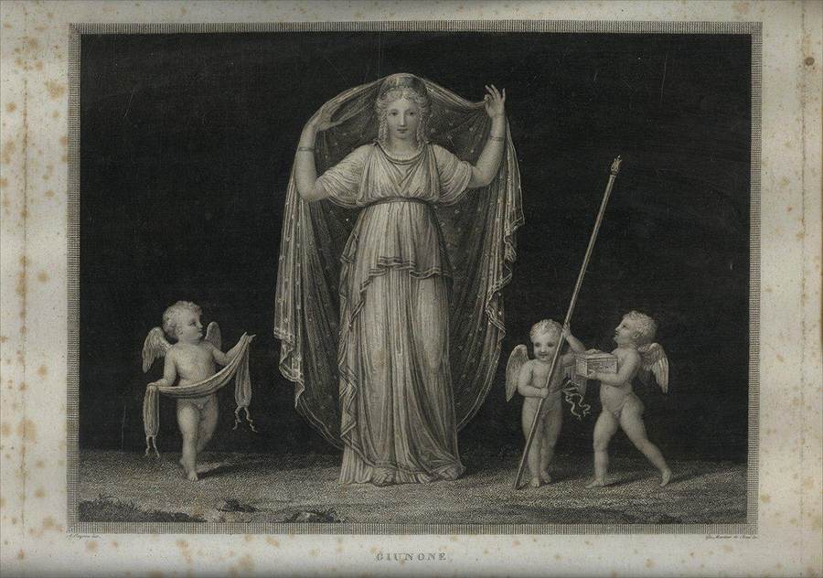 giunone-a-canova-inv-gio-martino-de-boni-inc