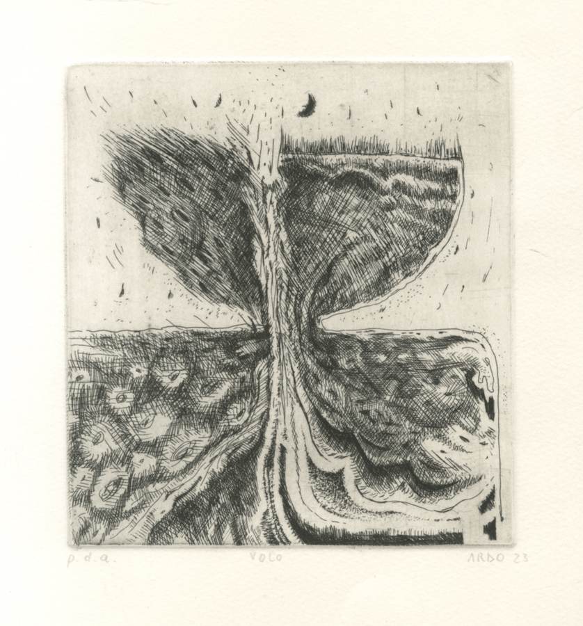 volo