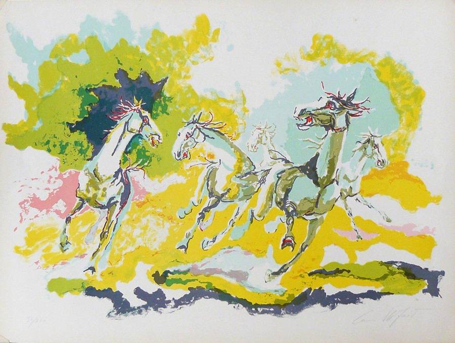 cavalli