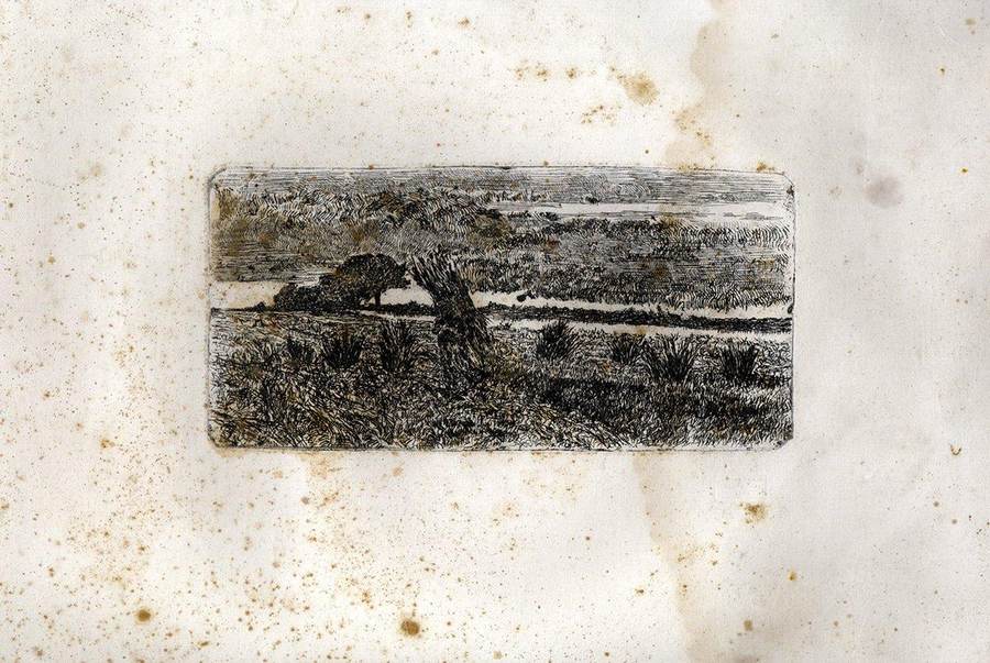 ritorno-dai-campi