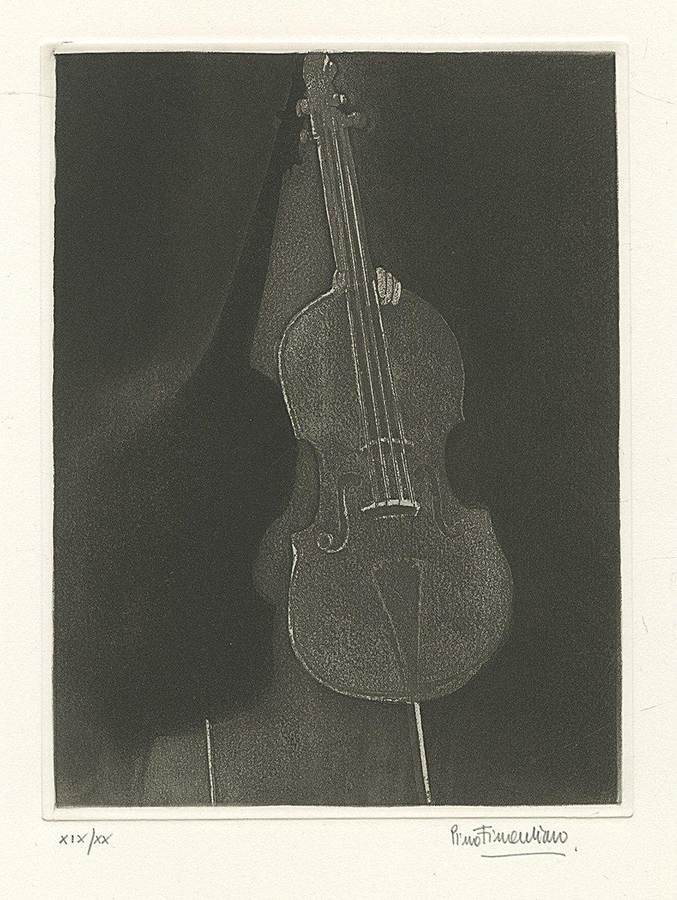 violoncello