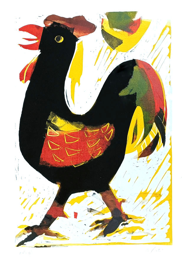 il-gallo-nero
