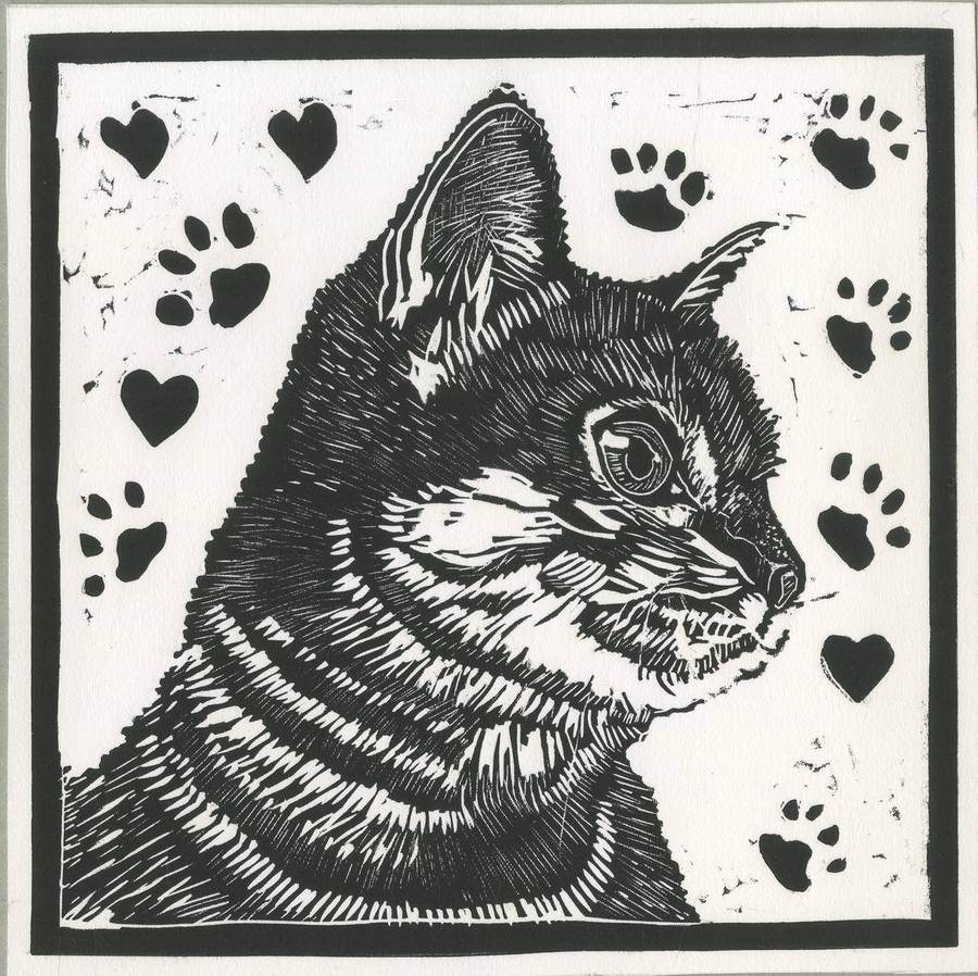 il-gatto