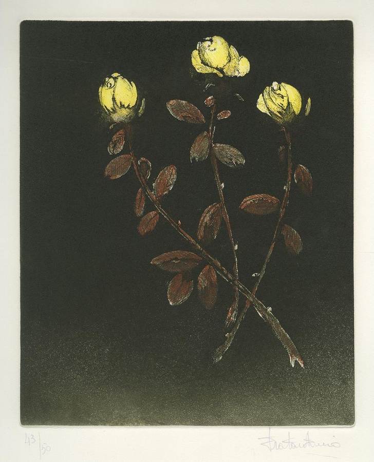 luce-e-tempo-cartella-3