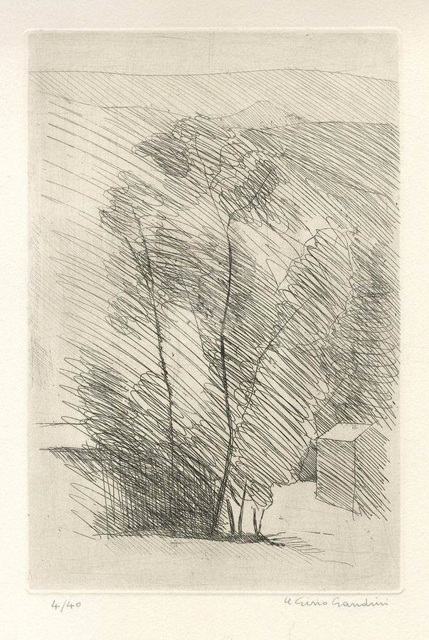 alberi