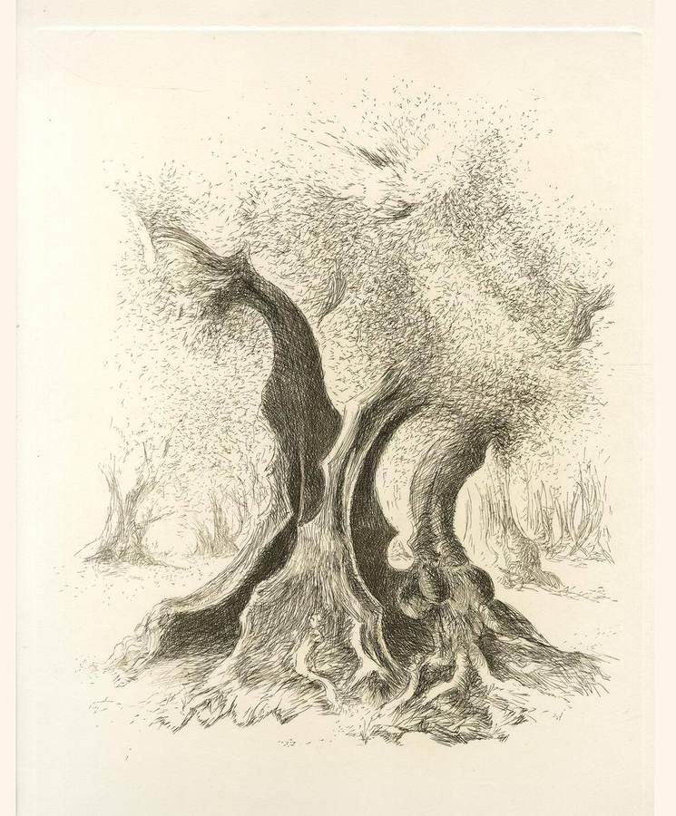 lantico-olivo-omaggio-a-luigi-bartolini