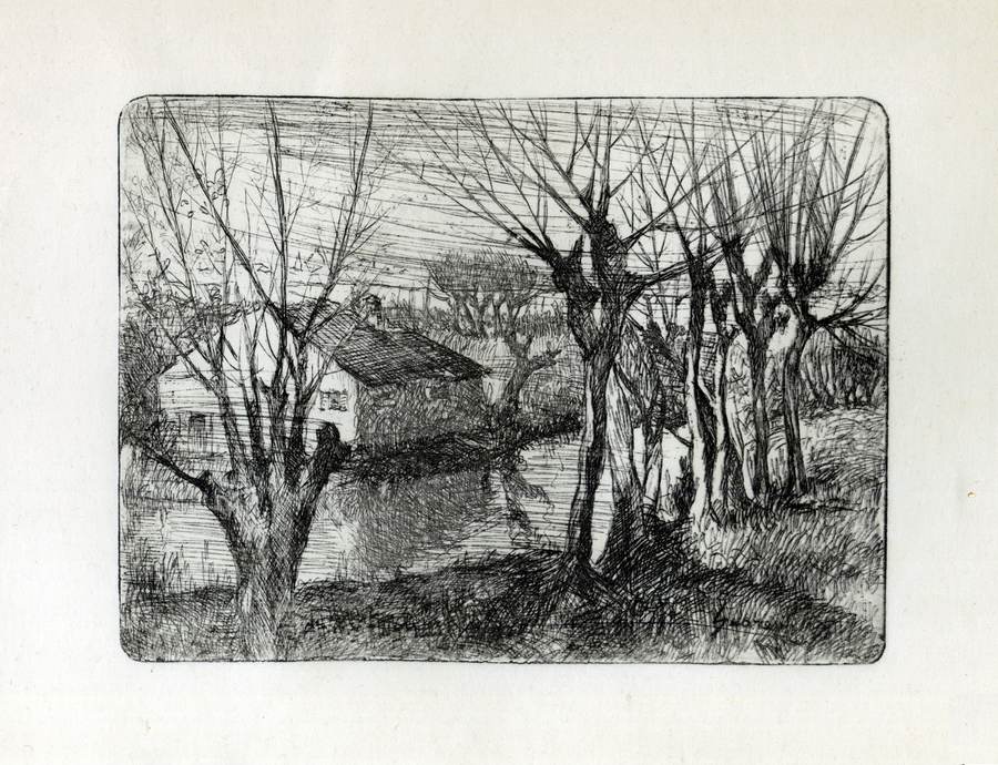 paesaggio-mantovano-il-mincio