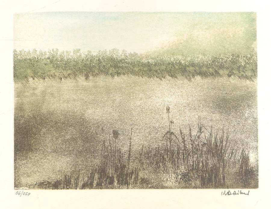 terre-dacqua