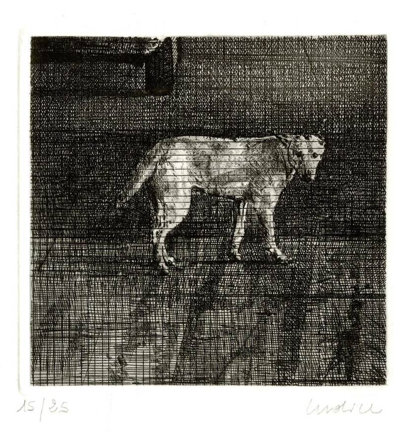 senza-titolo-cane