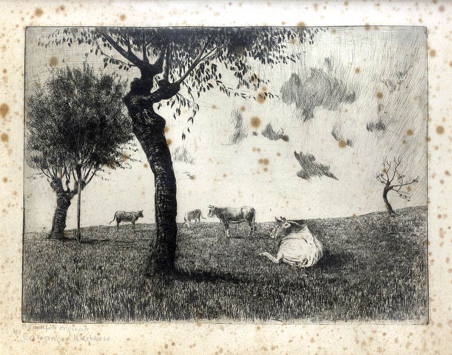 campagna-ungherese