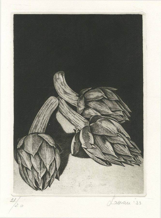 carciofi