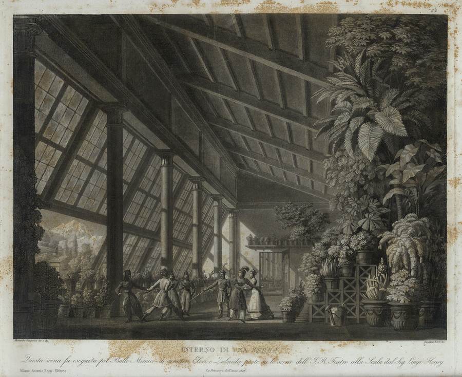 interno-di-una-serra-alessandro-sanquirico-inv-e-dip-carolina-lose-inc-la-primavea-dellanno-1826-milano-antonio-bossi-editore-tavola-39