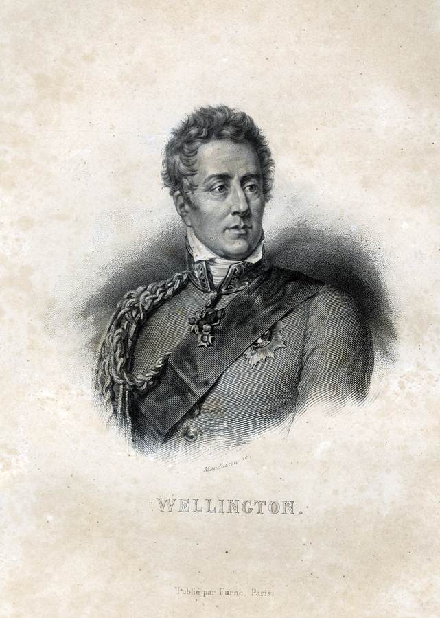 wellington-mauduison-sc-publie-par-furne-paris
