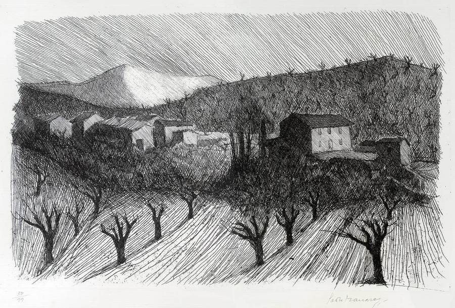 paesaggio-collina