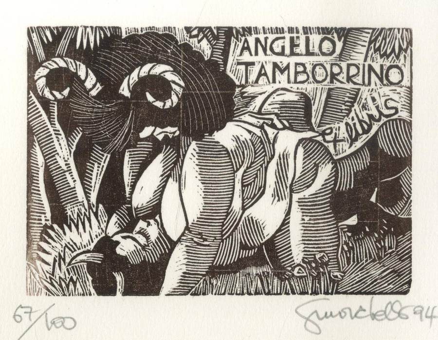 ex-libris-angelo-tamborrino