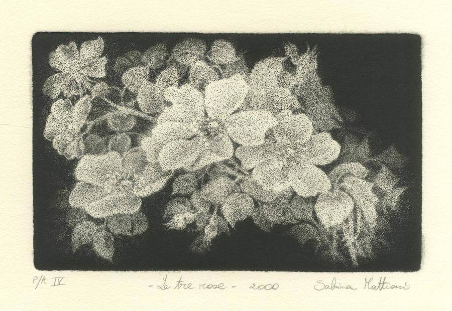 le-tre-rose