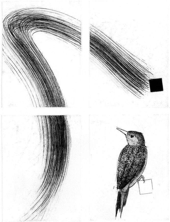 la-scia