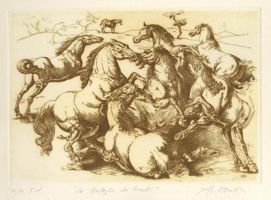 la-battaglia-dei-cavalli-ii-ediz