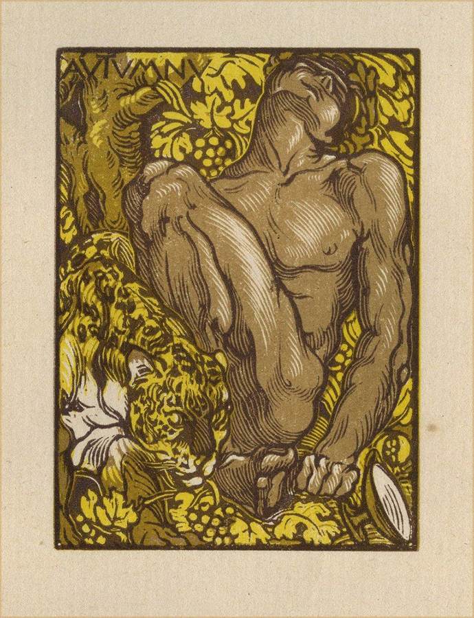 autumnus