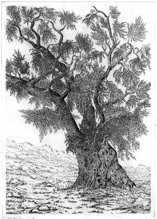lalbero-della-vita