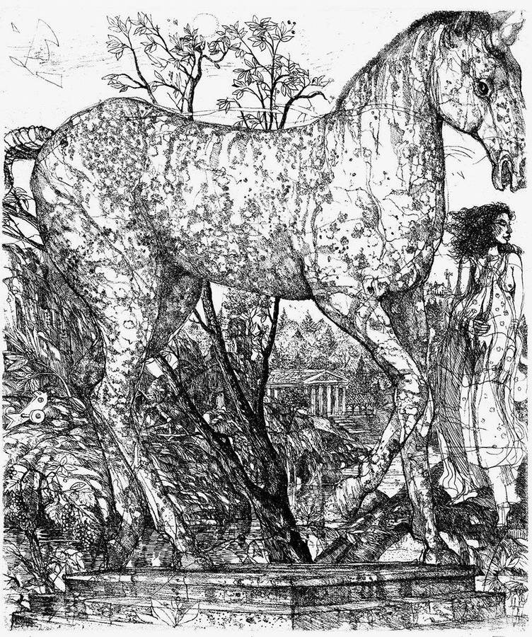 unicorno