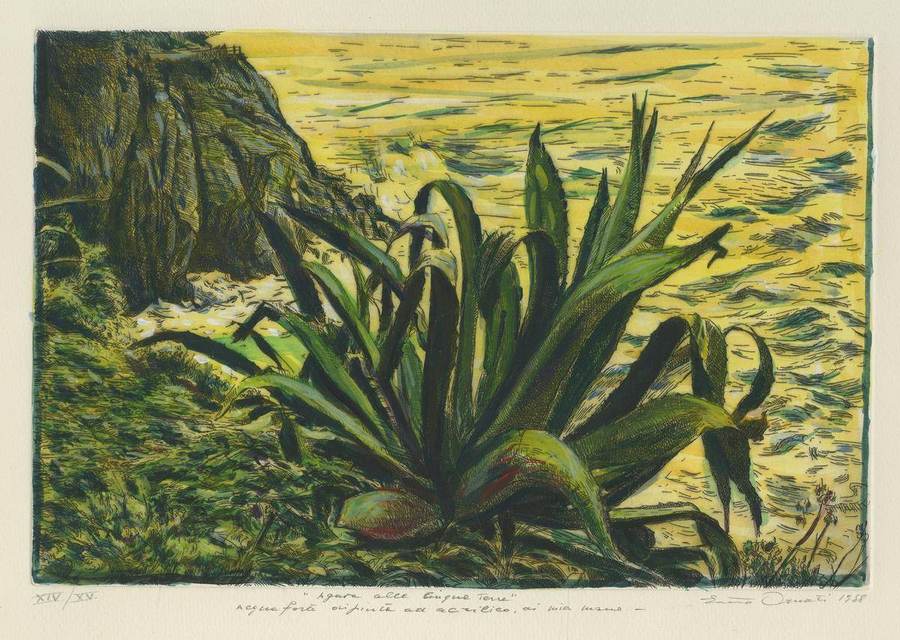 agave-alle-cinque-terre