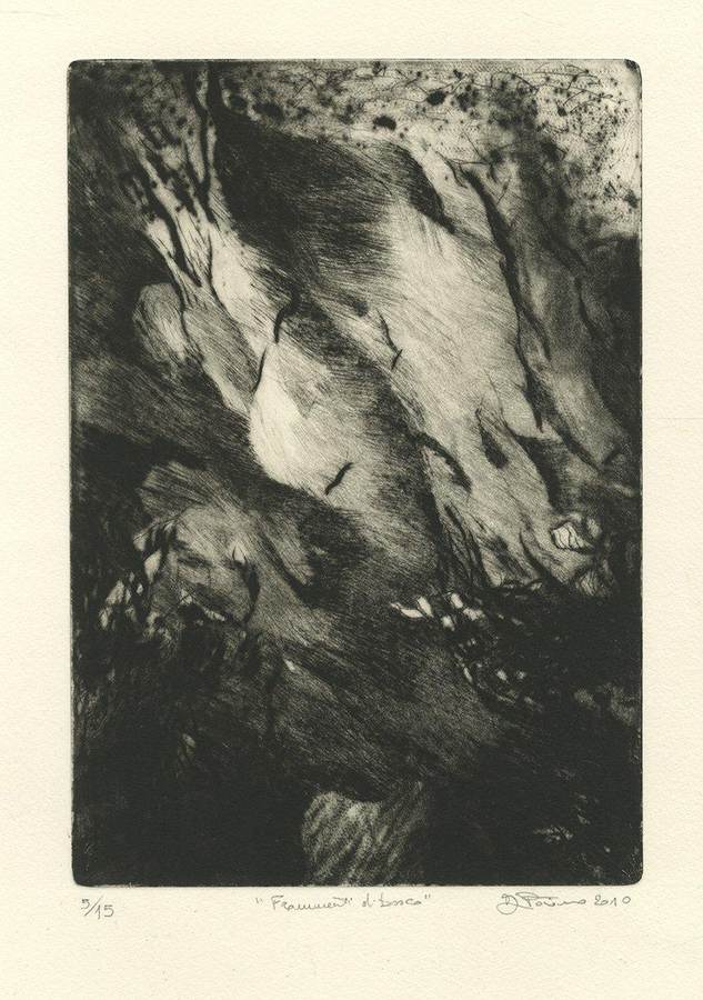 frammenti-di-bosco