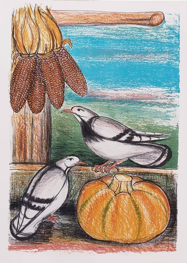 colombe-zucca-e-pannocchie