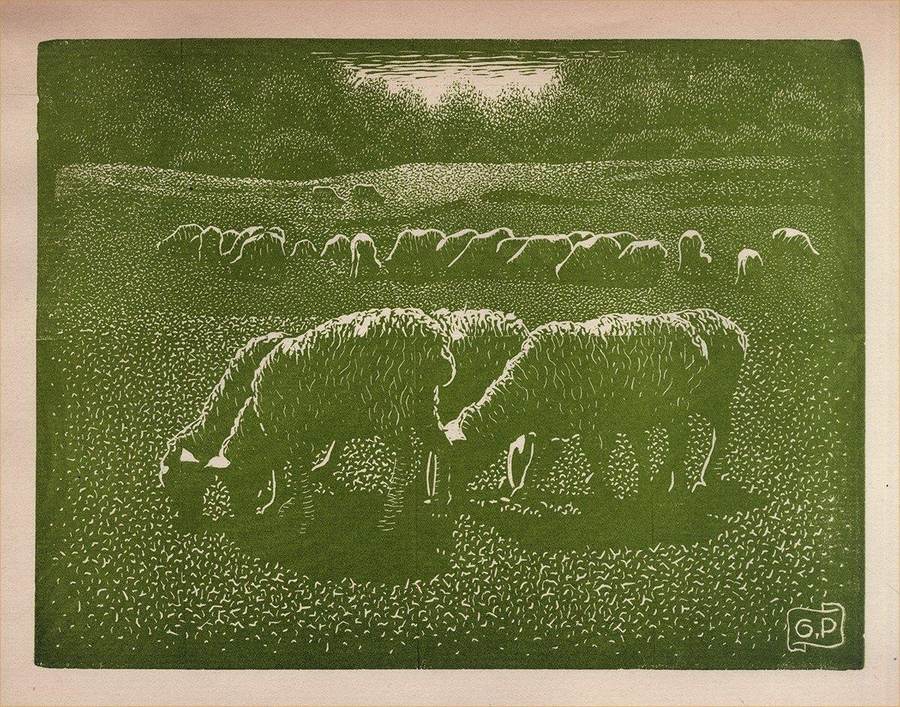 il-pascolo