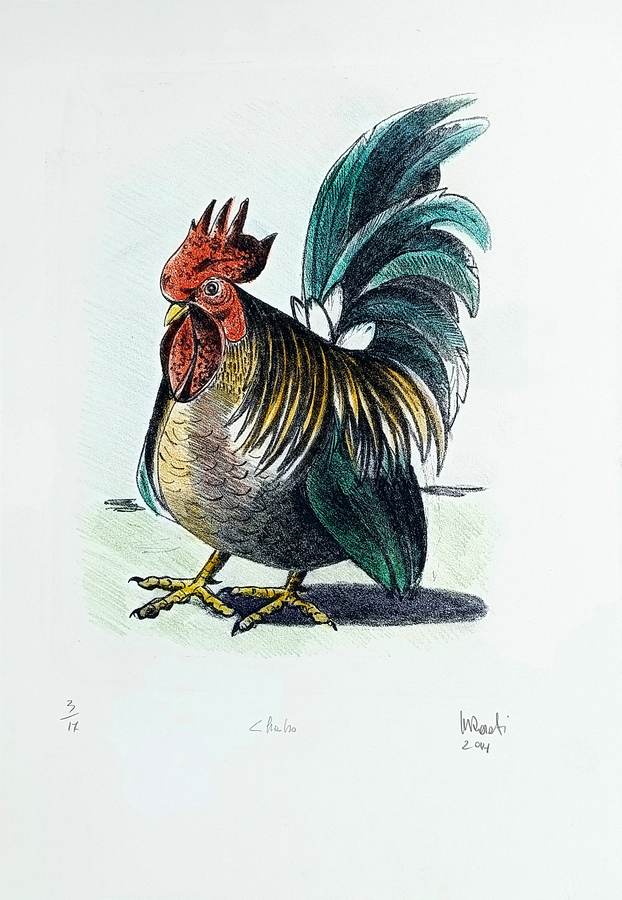 gallo-a-colori-chabo