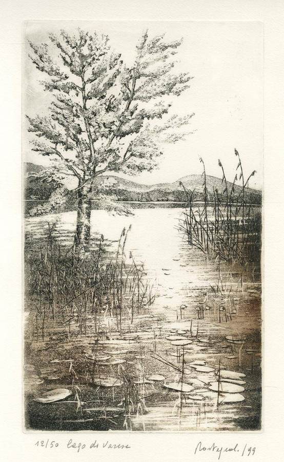 varese-lago-di-varese