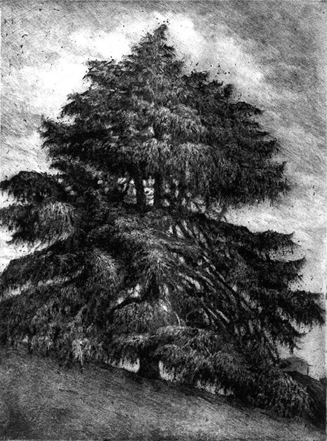 la-grande-chioma